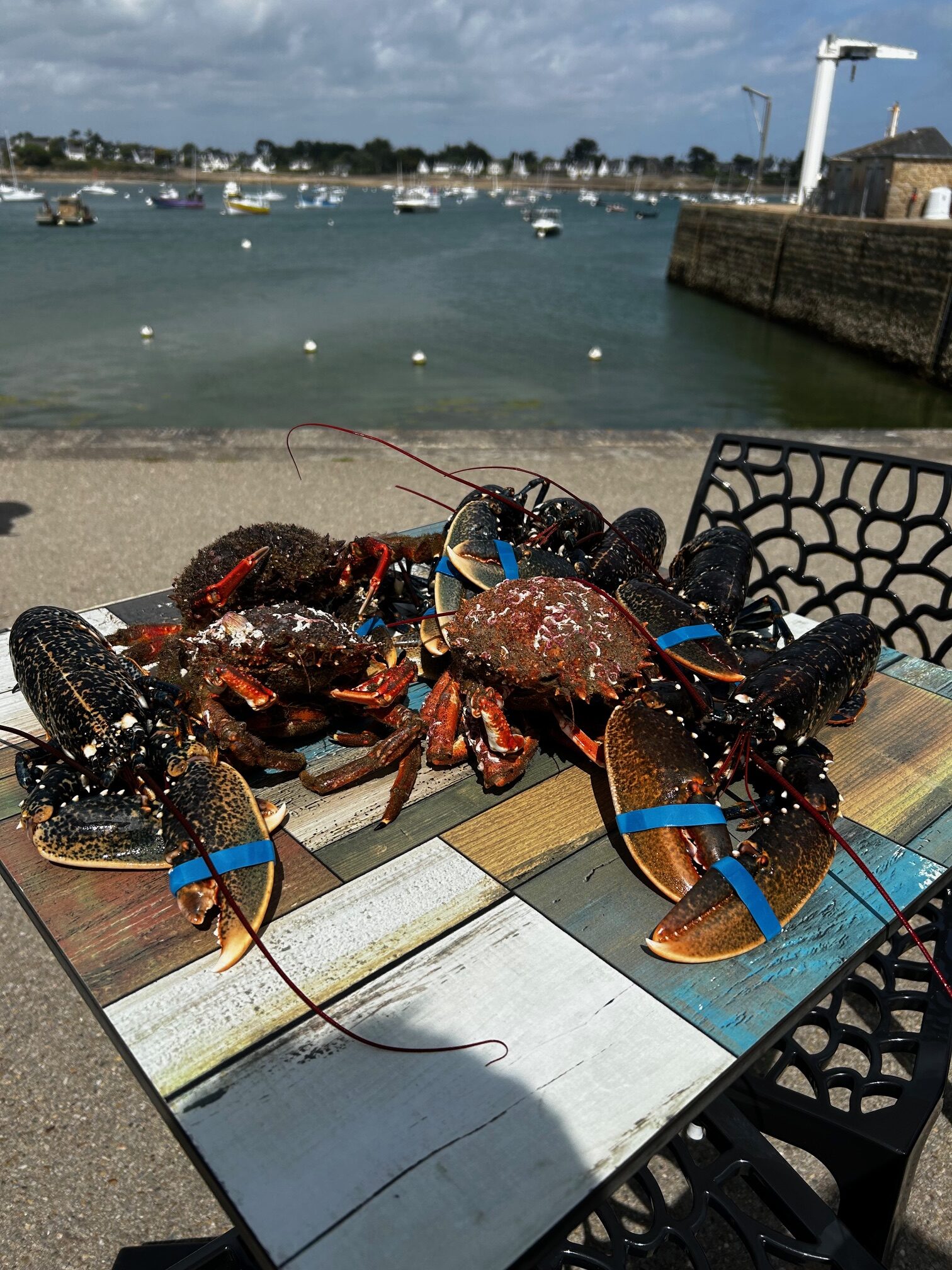 Araignées de mer et homards