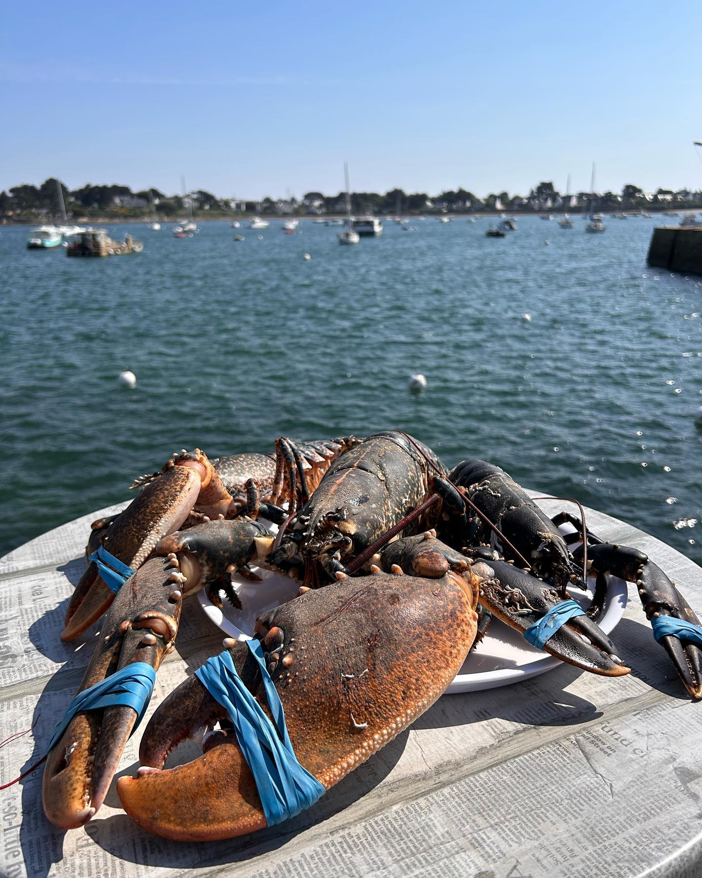 Retour de pêche